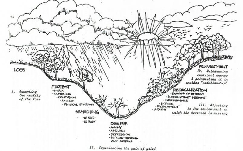 Grief Journey